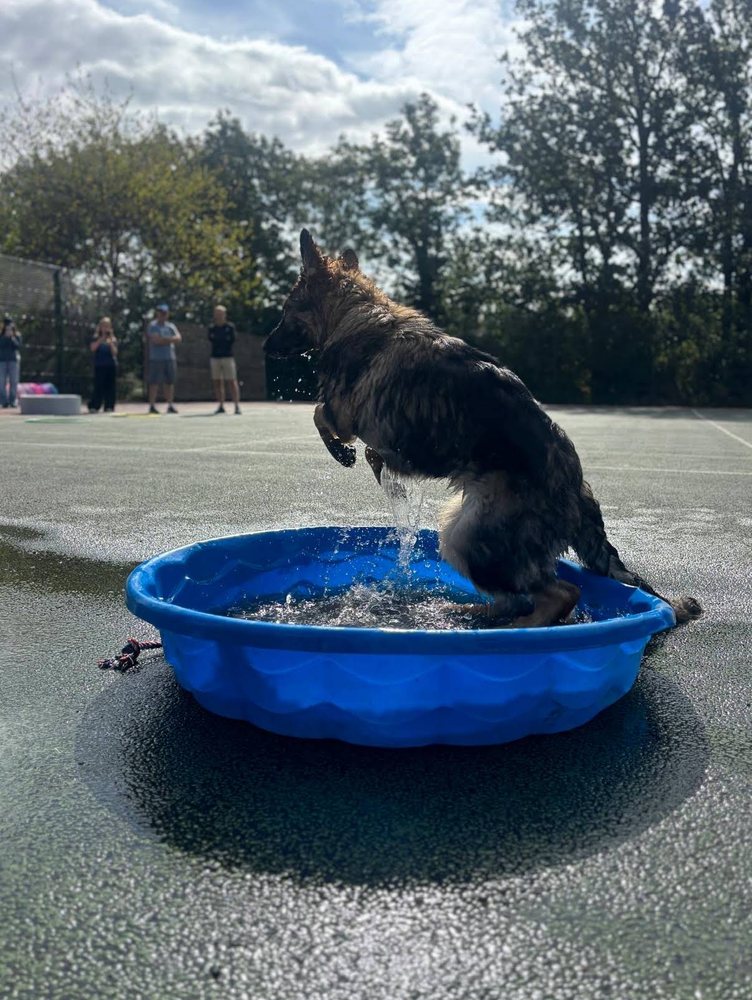 Leia leaping out of the paddling pool