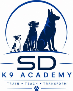 SDK9 Academy